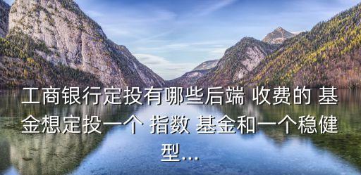 工商銀行定投有哪些后端 收費的 基金想定投一個 指數 基金和一個穩(wěn)健型...