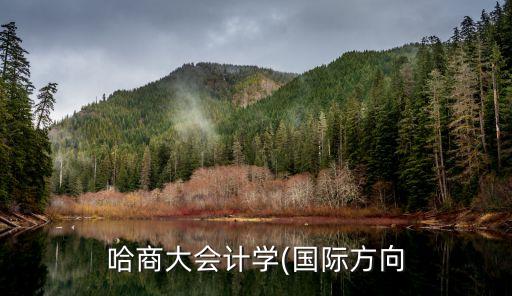 哈商大會計(jì)學(xué)(國際方向