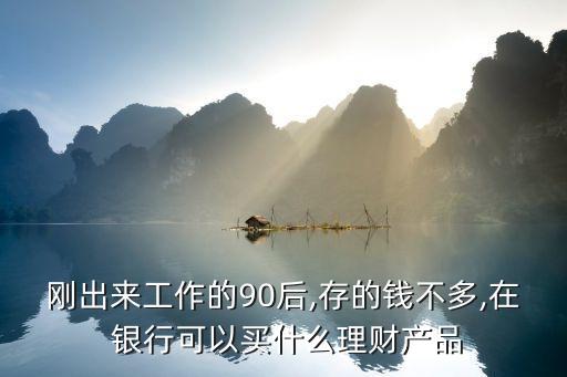 剛出來工作的90后,存的錢不多,在 銀行可以買什么理財產品