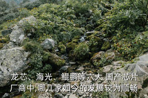  龍芯、海光、鯤鵬等六大 國產(chǎn)芯片廠商中,哪幾家如今的發(fā)展較為順暢