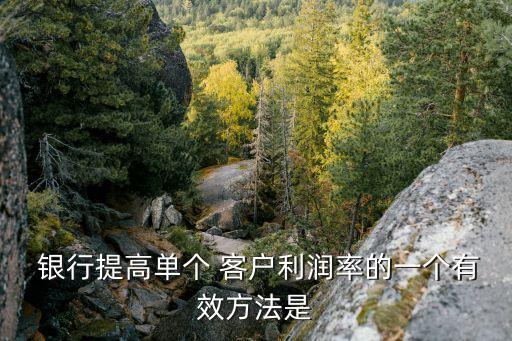  銀行提高單個 客戶利潤率的一個有效方法是
