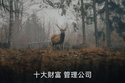 十大財(cái)富 管理公司