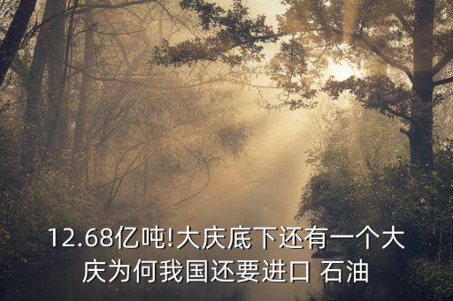 12.68億噸!大慶底下還有一個大慶為何我國還要進(jìn)口 石油
