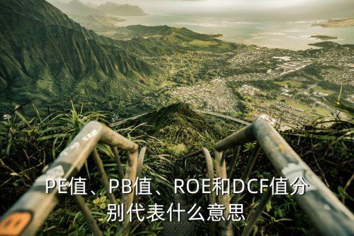 PE值、PB值、ROE和DCF值分別代表什么意思