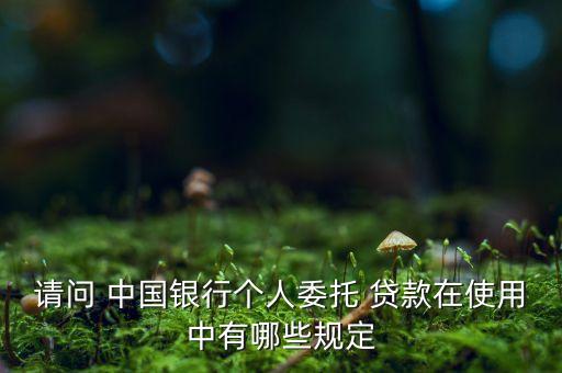 中國(guó)銀行個(gè)人貸款業(yè)務(wù)