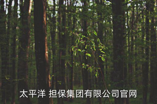 太平洋 擔(dān)保集團有限公司官網(wǎng)