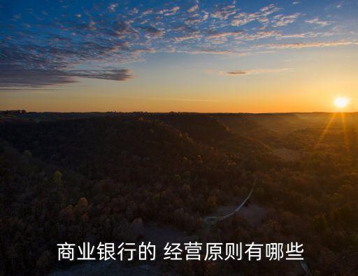 商業(yè)銀行的經營管理理論是什么