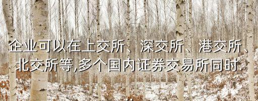 企業(yè)可以在上交所、深交所、港交所、北交所等,多個(gè)國內(nèi)證券交易所同時(shí)...