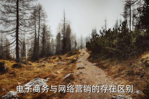 電子商務(wù)與網(wǎng)絡(luò)營銷的存在區(qū)別