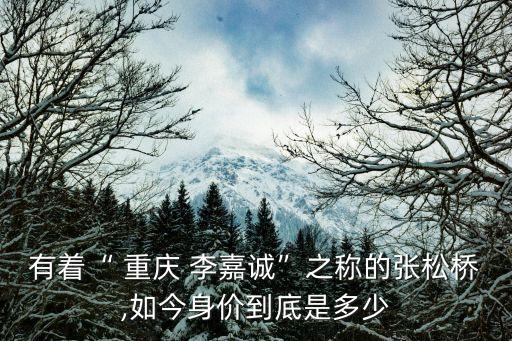 有著“ 重慶 李嘉誠”之稱的張松橋,如今身價到底是多少