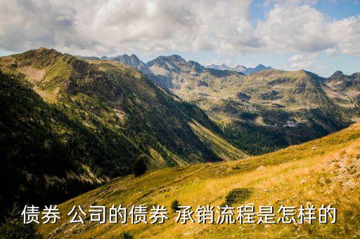銀行可以承銷(xiāo)公司債嗎,公司債銀行可以當(dāng)承銷(xiāo)商嗎