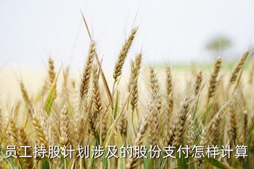 上市公司執(zhí)行企業(yè)會(huì)計(jì)準(zhǔn)則監(jiān)管問題解答