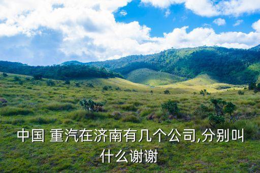 中國(guó) 重汽在濟(jì)南有幾個(gè)公司,分別叫什么謝謝