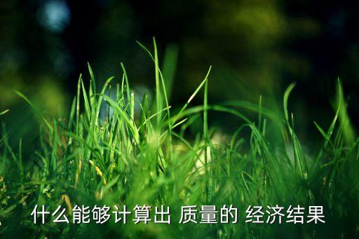 什么能夠計算出 質(zhì)量的 經(jīng)濟(jì)結(jié)果