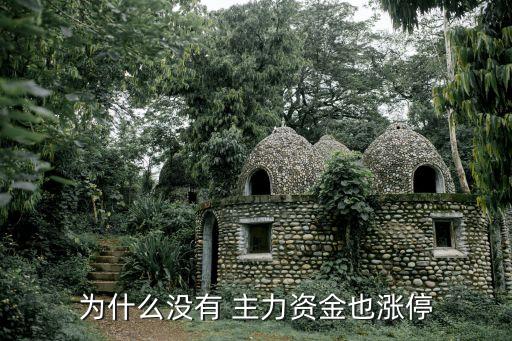 股票沒主力機(jī)構(gòu),股票里面主力、機(jī)構(gòu)分別是什么意思