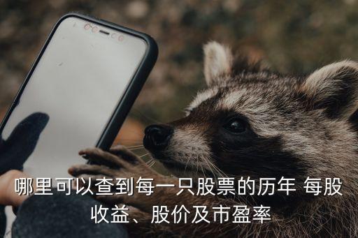 哪里可以查到每一只股票的歷年 每股 收益、股價(jià)及市盈率