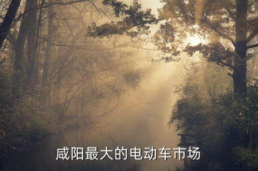 咸陽(yáng)最大的電動(dòng)車市場(chǎng)