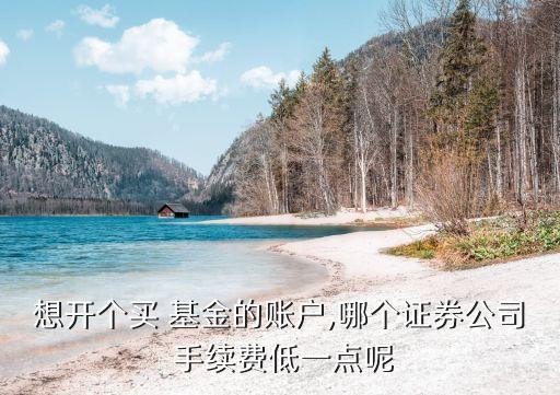 想開(kāi)個(gè)買(mǎi) 基金的賬戶(hù),哪個(gè)證券公司 手續(xù)費(fèi)低一點(diǎn)呢