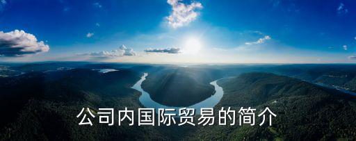 公司內(nèi)國(guó)際貿(mào)易的簡(jiǎn)介