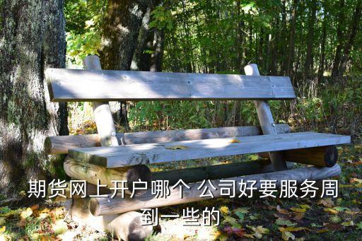  期貨網(wǎng)上開(kāi)戶哪個(gè) 公司好要服務(wù)周到一些的