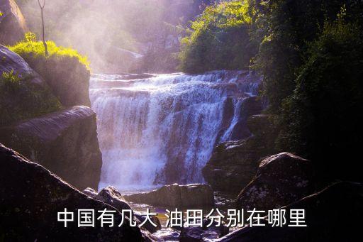 中國各油田產量,中國油田產量2022