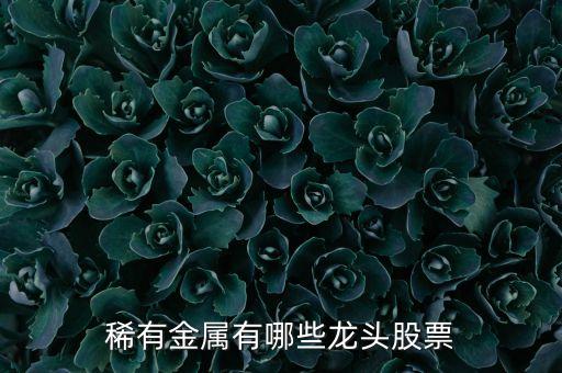 鋅類上市公司,生產鋅的龍頭上市公司