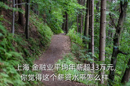  上海 金融業(yè)平均年薪超33萬(wàn)元,你覺(jué)得這個(gè)薪資水平怎么樣