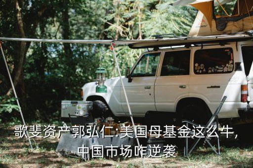 歌斐資產(chǎn)郭弘仁:美國(guó)母基金這么牛,中國(guó)市場(chǎng)咋逆襲