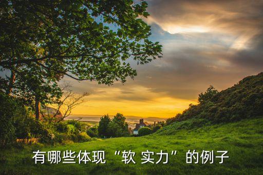 有哪些體現“軟 實力”的例子