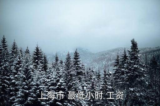  上海市 最低小時 工資