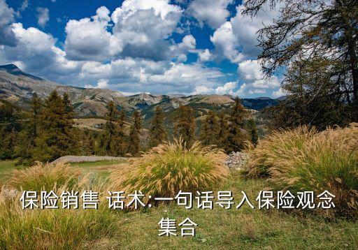 保險(xiǎn)銷(xiāo)售 話(huà)術(shù):一句話(huà)導(dǎo)入保險(xiǎn)觀(guān)念集合