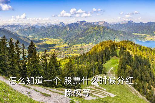 怎么知道一個(gè) 股票什么時(shí)候分紅、 除權(quán)等