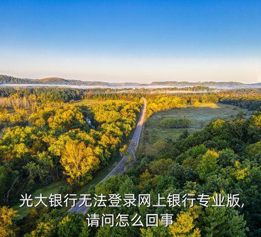  光大銀行無(wú)法登錄網(wǎng)上銀行專(zhuān)業(yè)版,請(qǐng)問(wèn)怎么回事