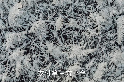 上海匯付金融服務(wù)有限公司電話,云南匯付四?；ヂ?lián)網(wǎng)金融服務(wù)有限公司