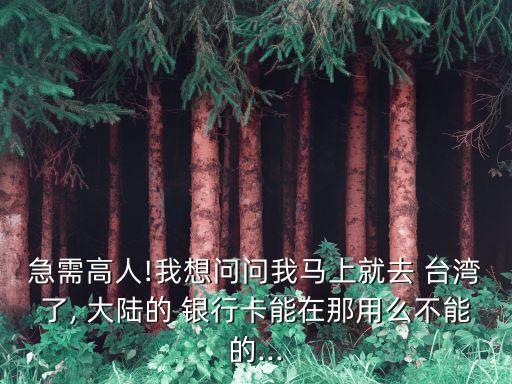 急需高人!我想問問我馬上就去 臺(tái)灣了, 大陸的 銀行卡能在那用么不能的...