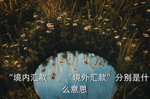 “境內(nèi)匯款”、“境外匯款”分別是什么意思