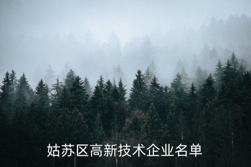 姑蘇區(qū)高新技術(shù)企業(yè)名單