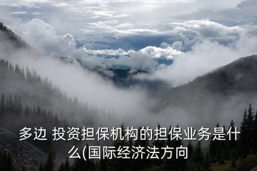  多邊 投資擔保機構(gòu)的擔保業(yè)務是什么(國際經(jīng)濟法方向