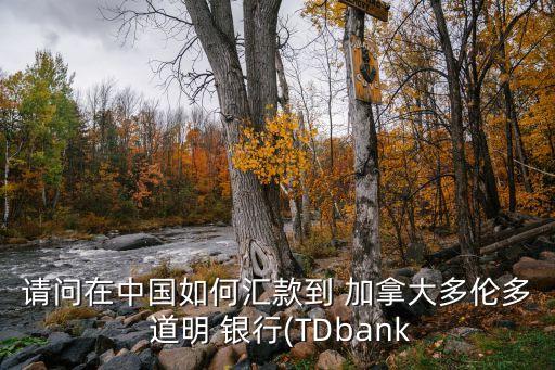請(qǐng)問在中國如何匯款到 加拿大多倫多 道明 銀行(TDbank