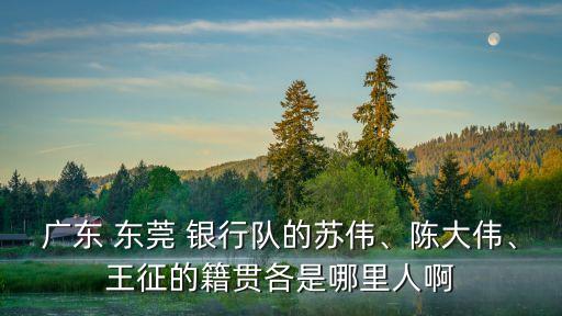 廣東 東莞 銀行隊(duì)的蘇偉、陳大偉、王征的籍貫各是哪里人啊