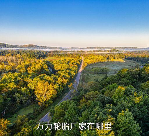 萬(wàn)力輪胎廠家在哪里