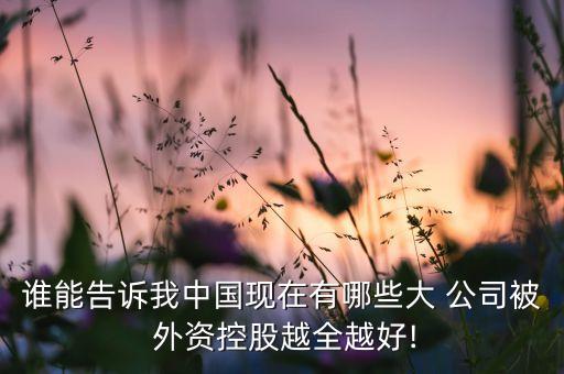 誰能告訴我中國(guó)現(xiàn)在有哪些大 公司被 外資控股越全越好!