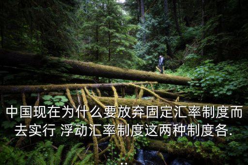 中國的浮動(dòng)匯率的例子,中國現(xiàn)在是浮動(dòng)匯率嗎