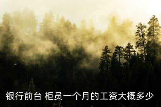 銀行前臺 柜員一個(gè)月的工資大概多少