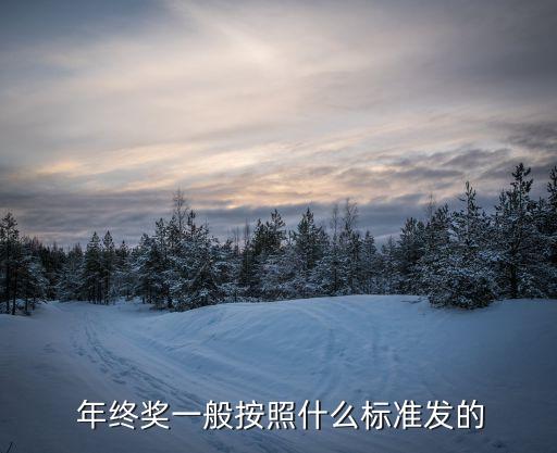  年終獎一般按照什么標準發(fā)的