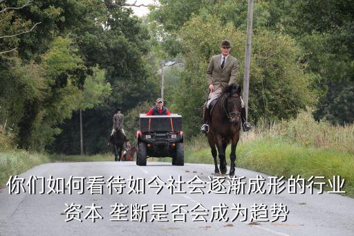 你們如何看待如今社會逐漸成形的行業(yè)資本 壟斷是否會成為趨勢