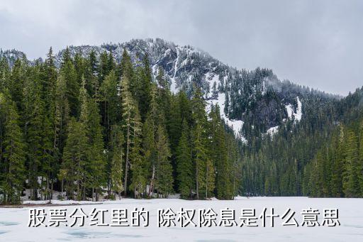 博匯紙業(yè)股票除權日,600966博匯紙業(yè)股票