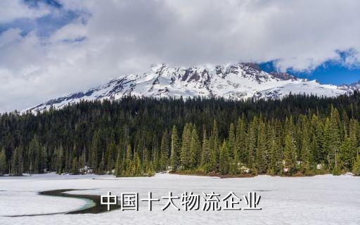 中國(guó)遠(yuǎn)洋運(yùn)輸集團(tuán)采購