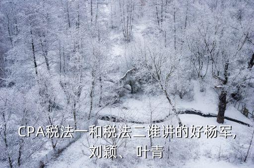 CPA稅法一和稅法二誰(shuí)講的好楊軍,劉穎、 葉青