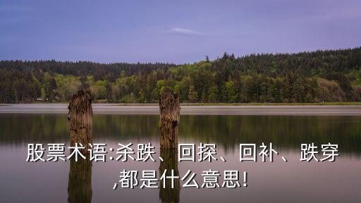  股票術(shù)語:殺跌、回探、回補、跌穿,都是什么意思!